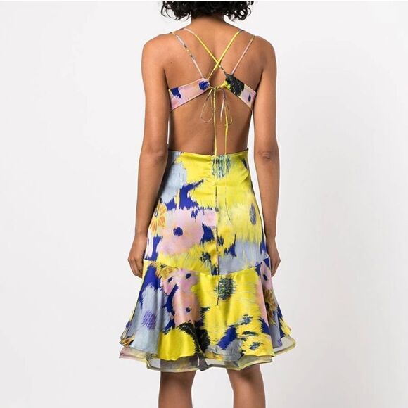 NEW Silvia Tcherassi Analissa Cut Out Silk Abstract Floral Dress Medium - Picture 3 of 14